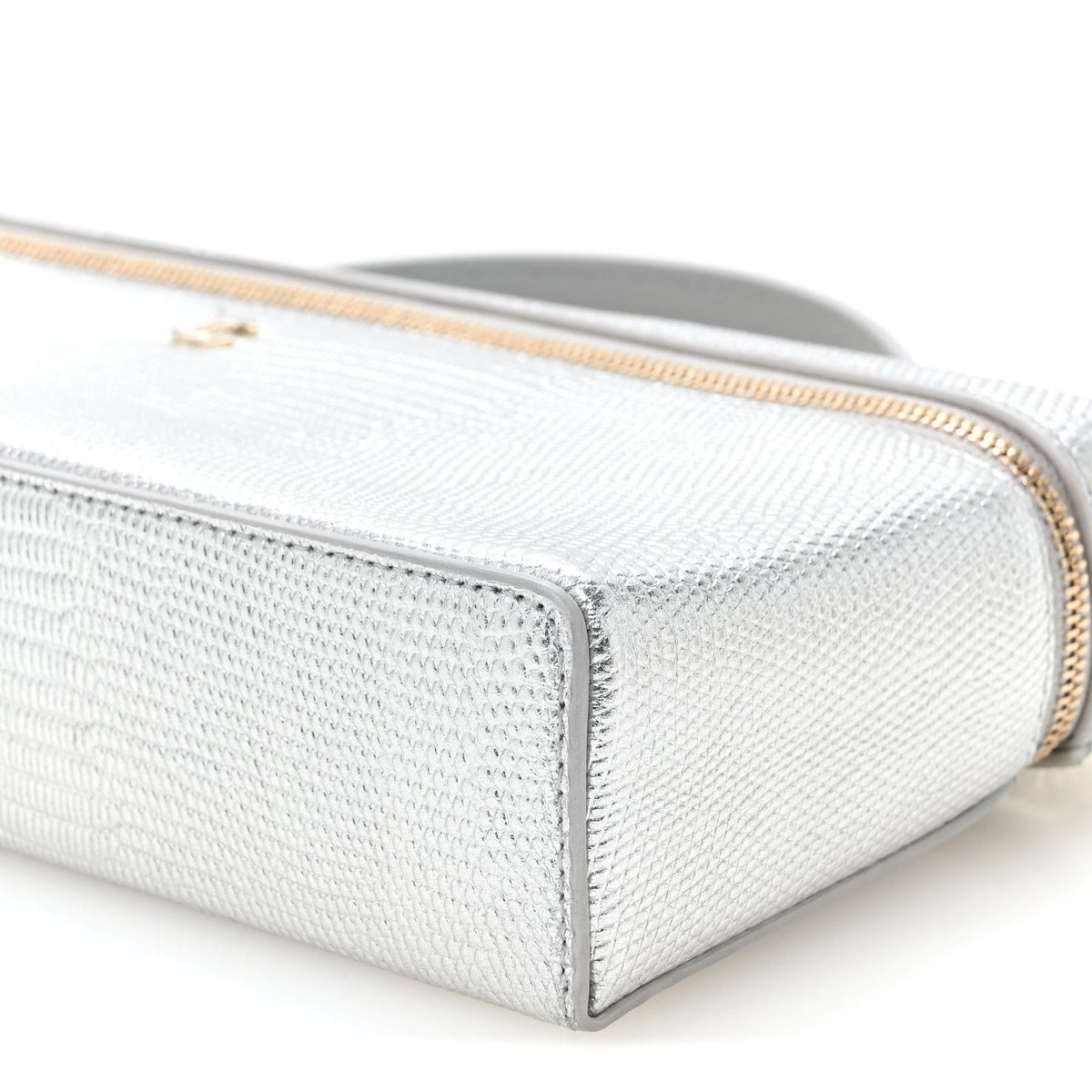 Lizard Embossed Calfskin Exoticoco Long Vanity With Chain Silvery