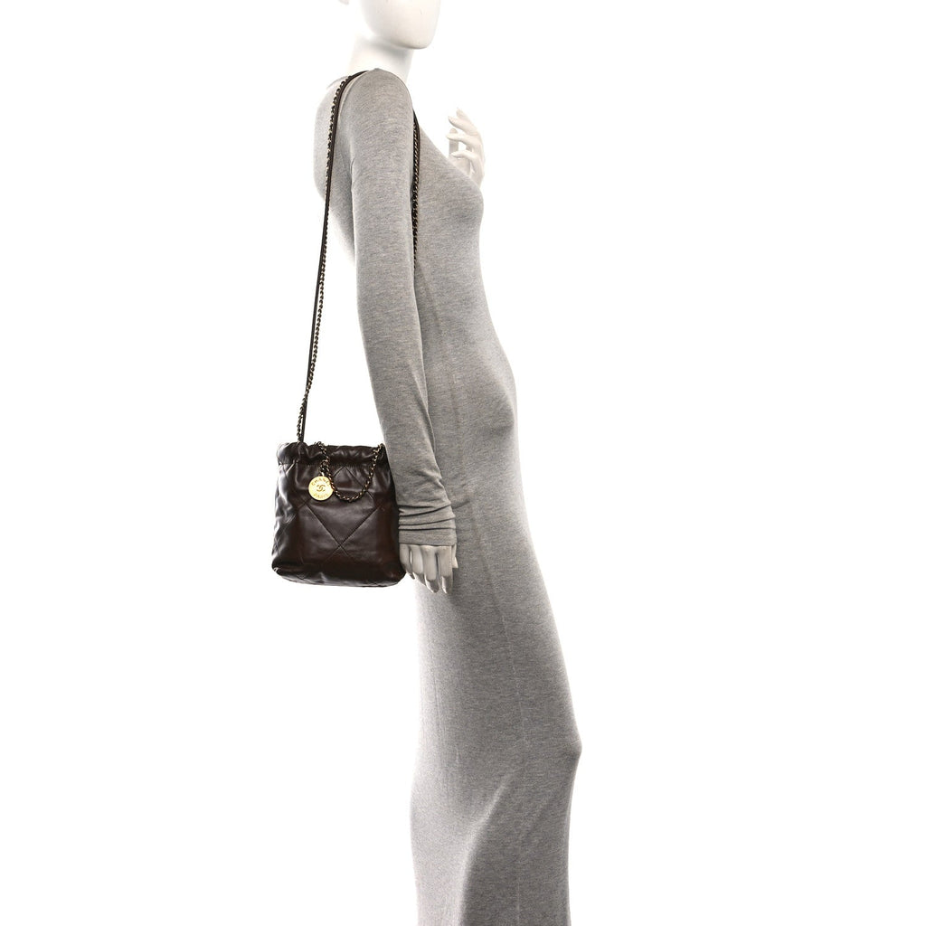 Shiny Calfskin Quilted Mini Chanel 22 Brown