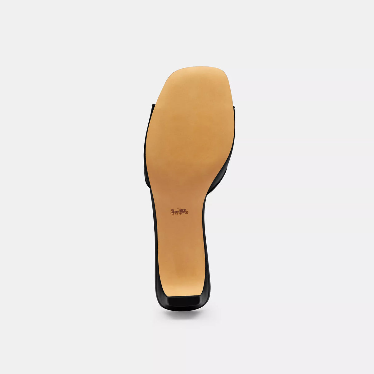 Coach Outlet Bow Kitten Heel Sandal