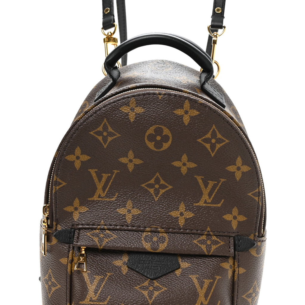 Monogram Palm Springs Backpack Mini