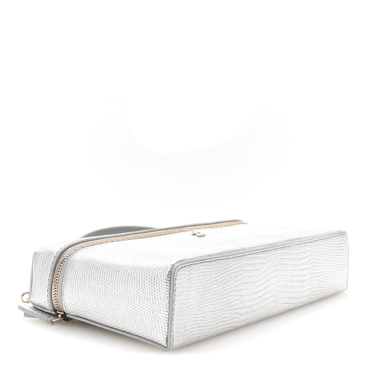 Lizard Embossed Calfskin Exoticoco Long Vanity With Chain Silvery