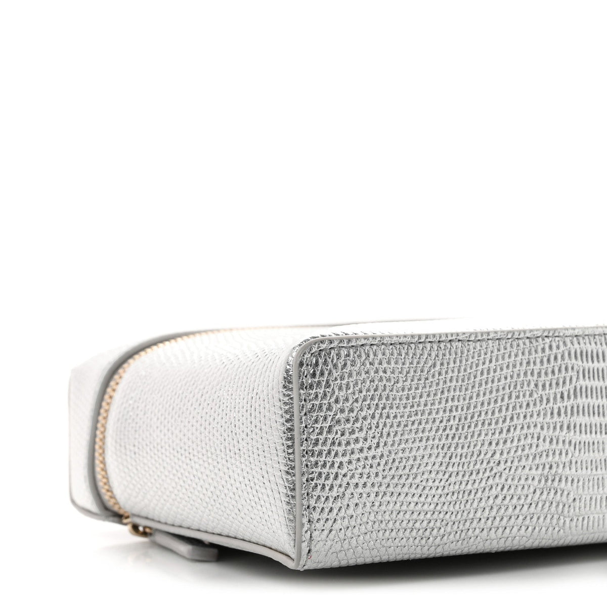 Lizard Embossed Calfskin Exoticoco Long Vanity With Chain Silvery