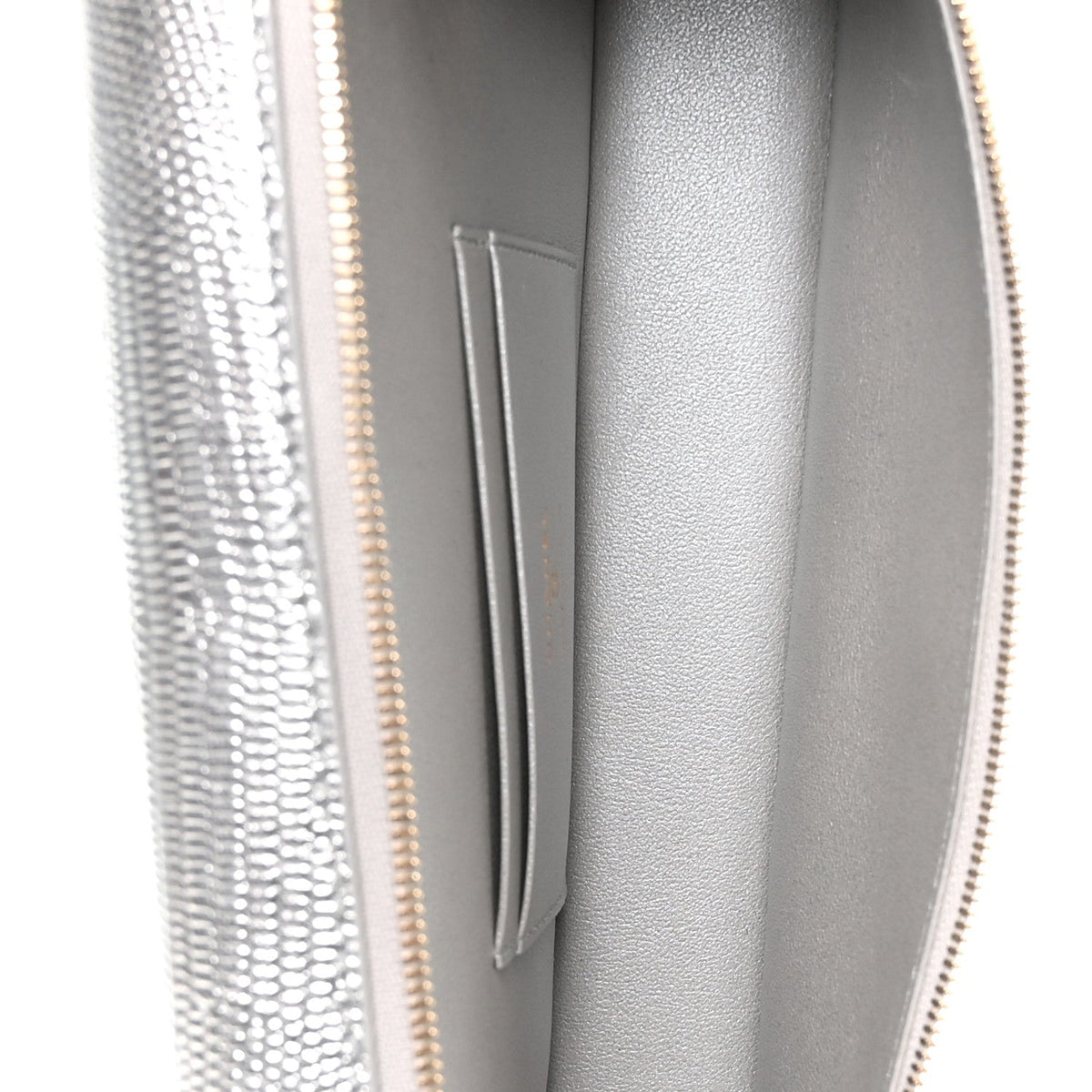 Lizard Embossed Calfskin Exoticoco Long Vanity With Chain Silvery