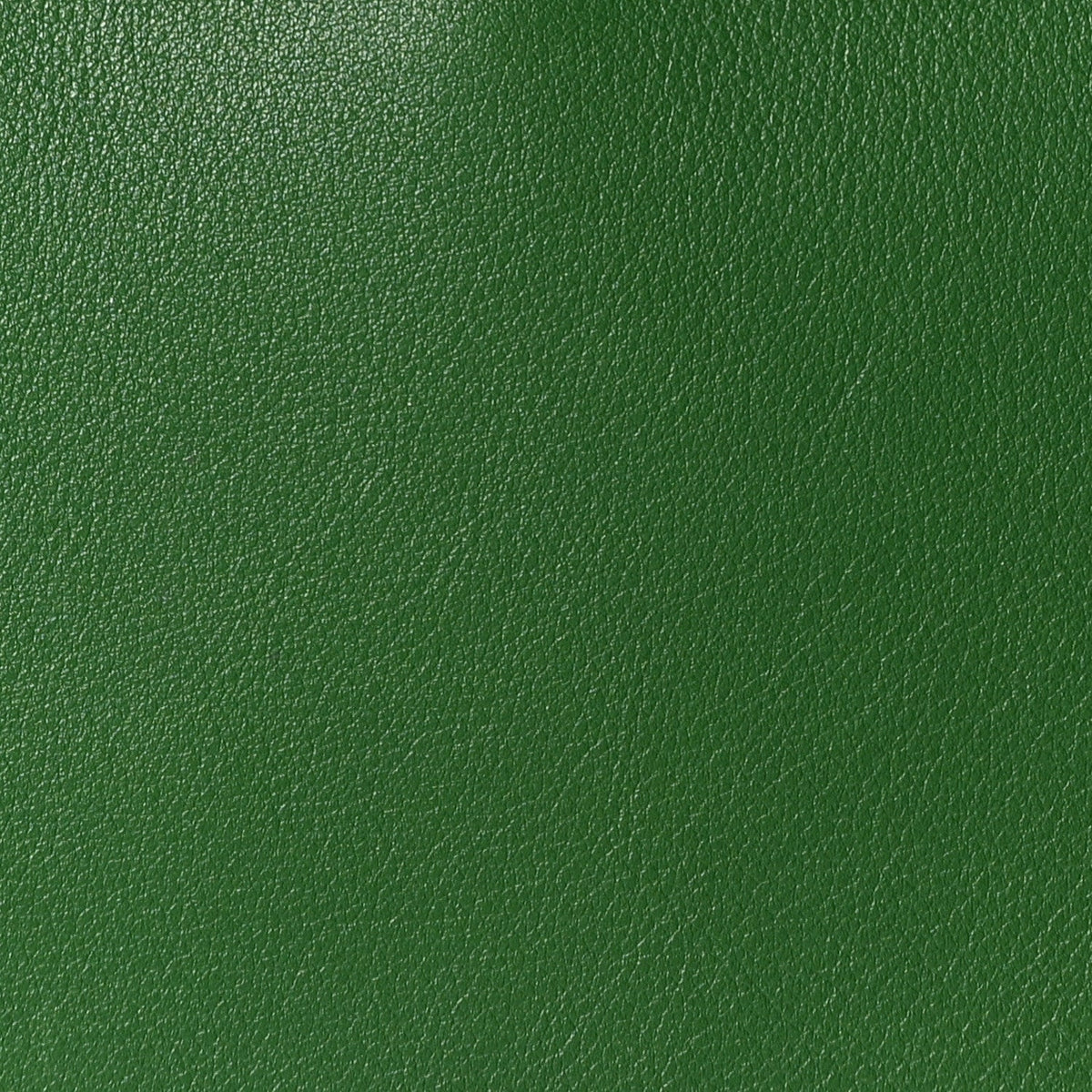 Swift Jypsiere 28 Vert Bengale