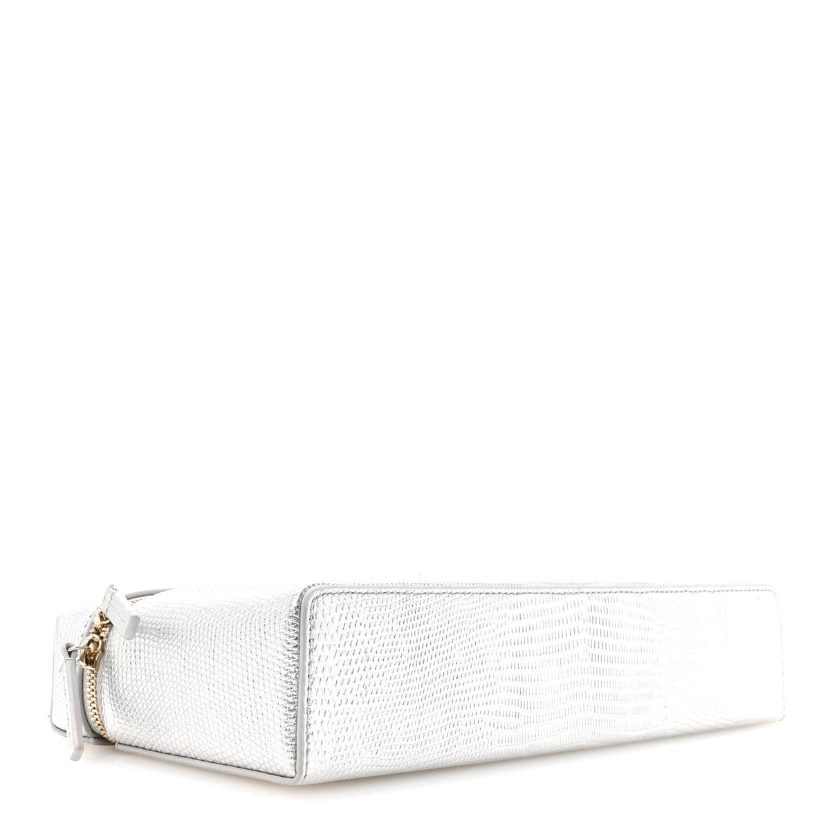 Lizard Embossed Calfskin Exoticoco Long Vanity With Chain Silvery