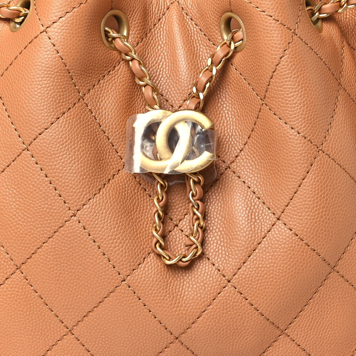 Caviar Quilted Small Chanel 25 Handbag Brown