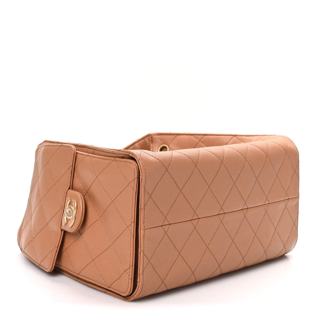 Caviar Quilted Small Chanel 25 Handbag Brown