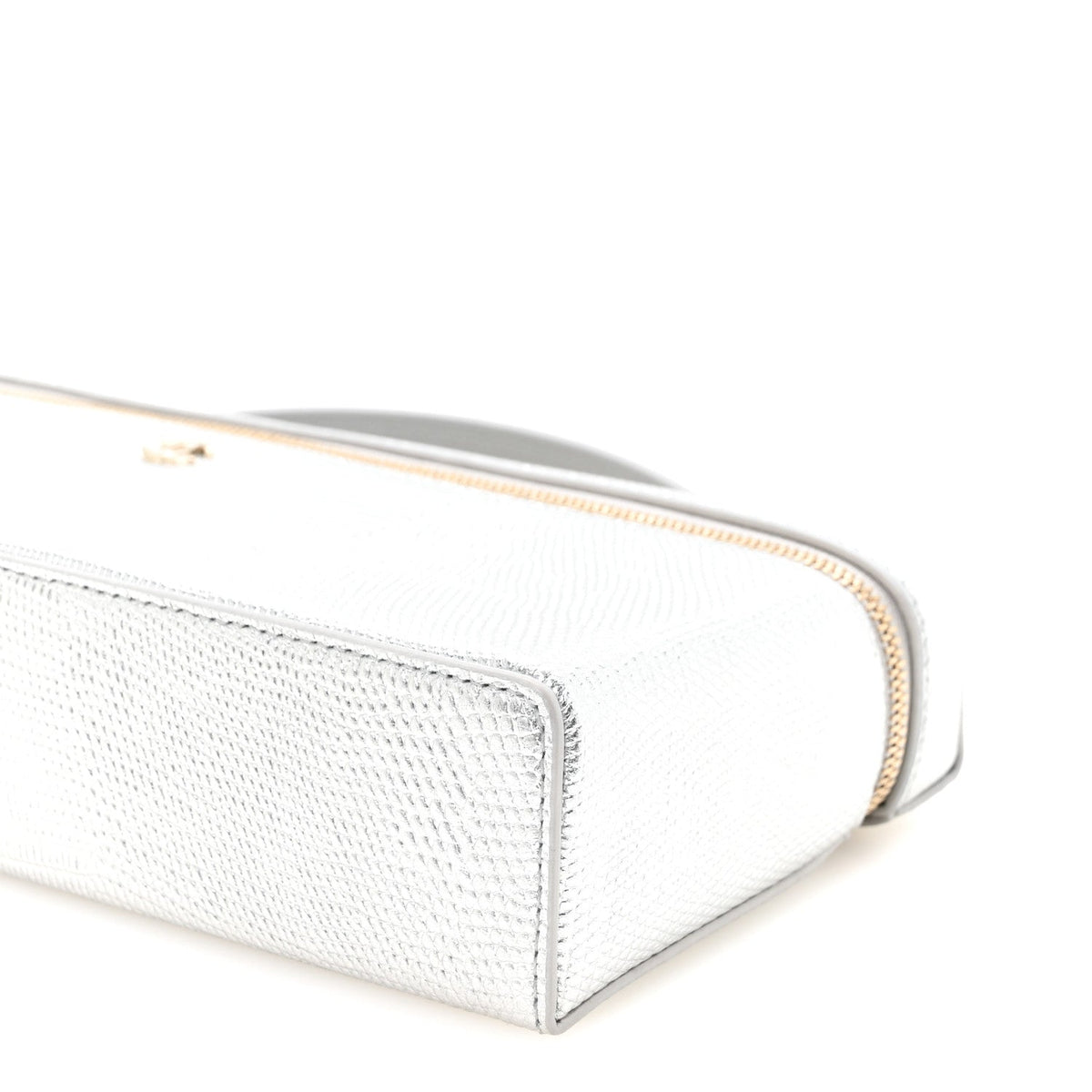 Lizard Embossed Calfskin Exoticoco Long Vanity With Chain Silvery