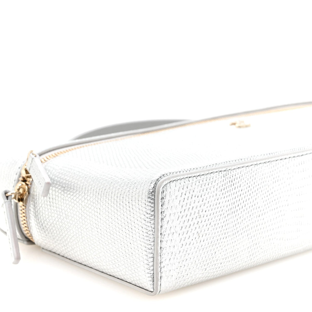 Lizard Embossed Calfskin Exoticoco Long Vanity With Chain Silvery