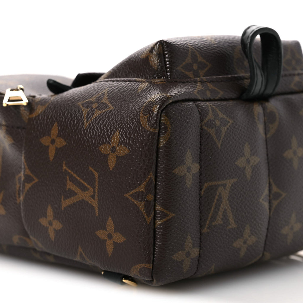 Monogram Palm Springs Backpack Mini