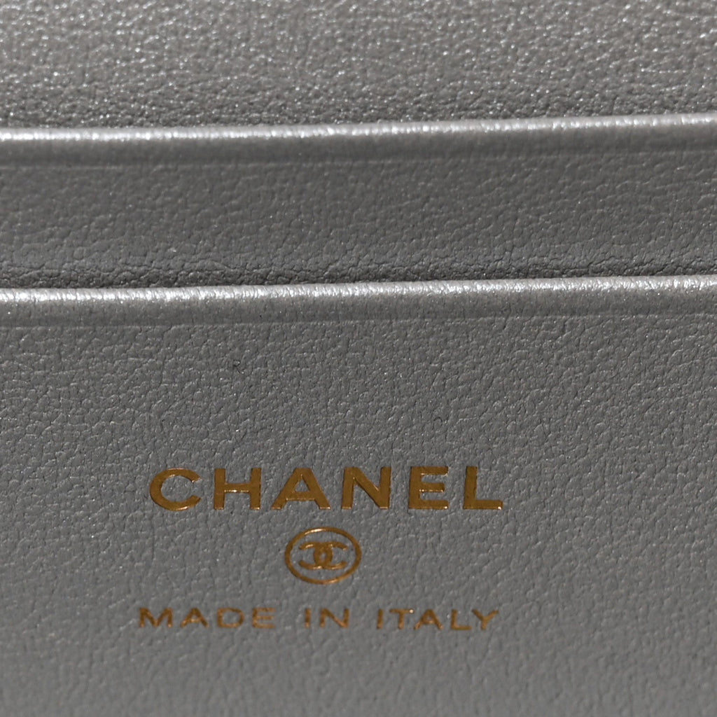 Lizard Embossed Calfskin Exoticoco Long Vanity With Chain Silvery